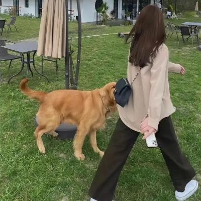 租借女友第二季